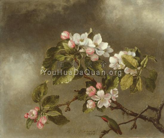 Hummingbird And Apple Blossoms - 马丁·约翰逊·赫德